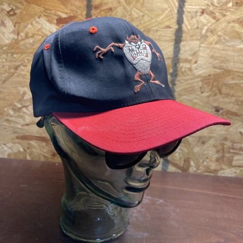 Vintage 1993 Taz Tasmanian Devil Looney Tunes Snapback Hat Cap Warner Bros. - Picture 13 of 19