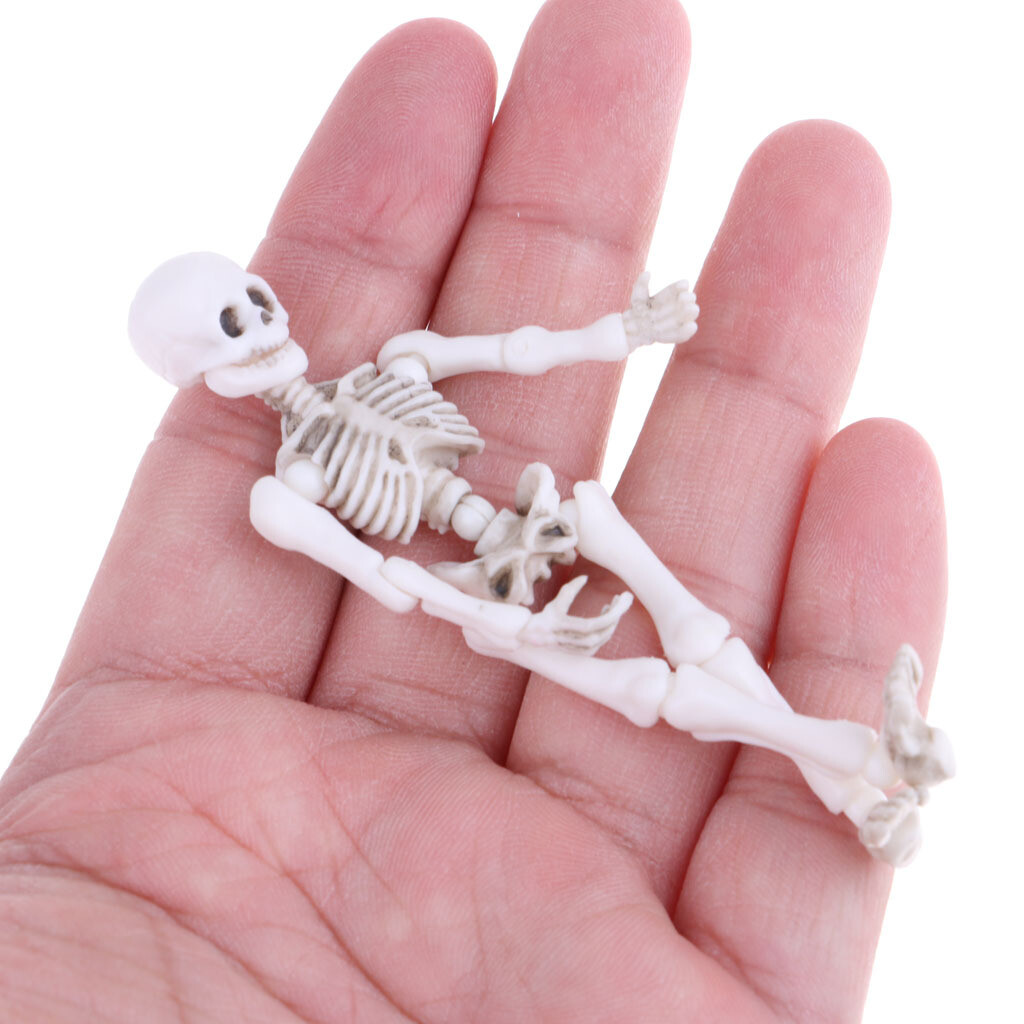 Miniature 8.7cm Skeleton Doll Action Figures Playset Kid Pretend Toy eBay