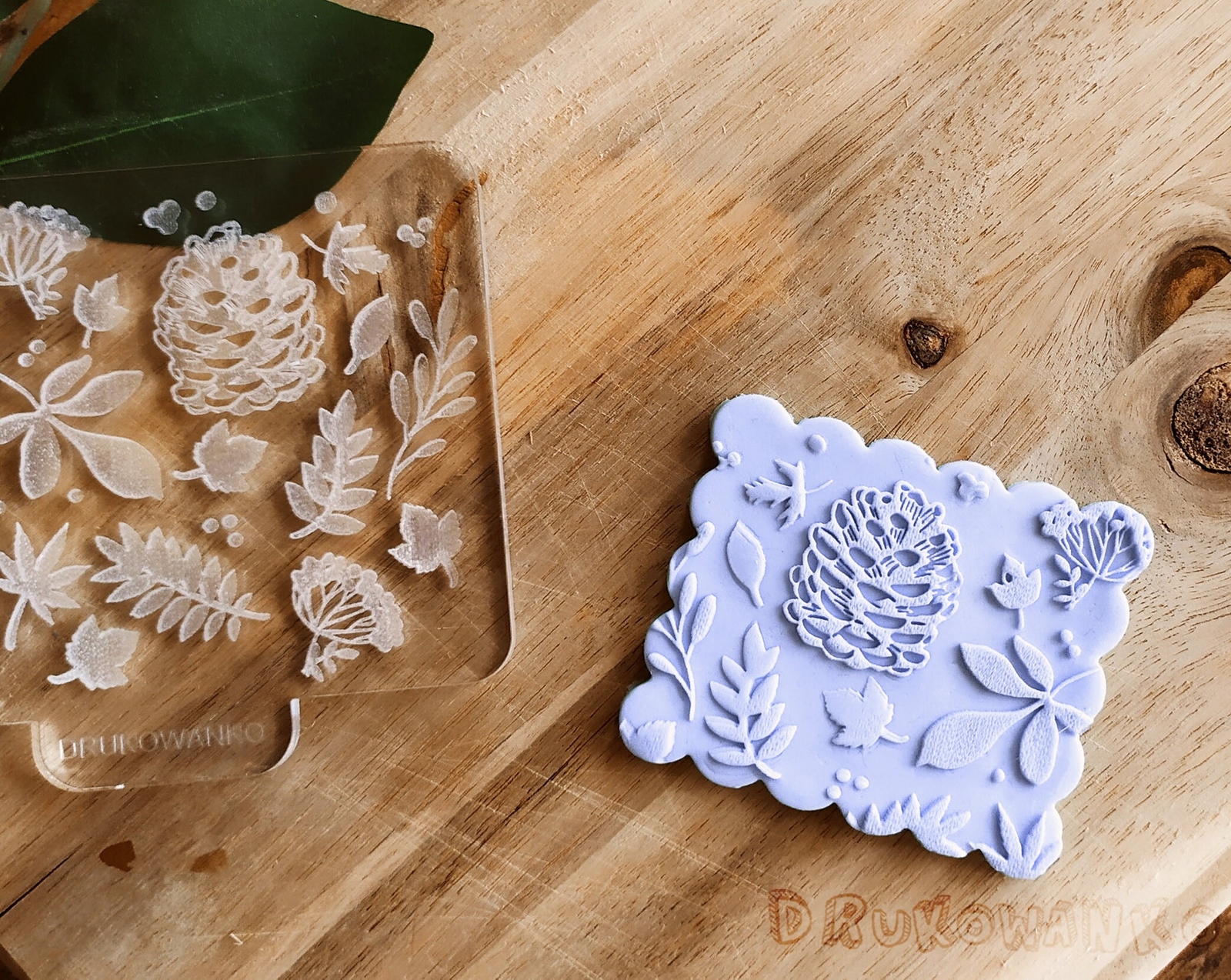 Cone Forest Trees Nature Leaves - Embosser Stamp for cookies, Cake