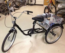 750W 48V Electric GoKart Tricycle Cart Brushless Motor Gear Reduction w/Control