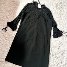 Black Lace Whimsygoth Dark Fairy Vampire Witchy Academia Bell Sleeve Shift Dress