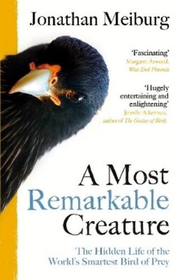 Jonathan Meiburg A Most Remarkable Creature (Taschenbuch)