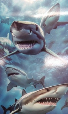 White Shark Aquatic Velour Beach Bath Towel 30x60 100% Cotton