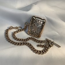 Серебро VESTA CASE/ALBERT CHAIN DOUBLE STUNNING