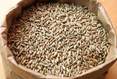 5lb Organic Cereal Rye Whole Grain Berries Clean High Quality Untreated ChemFree