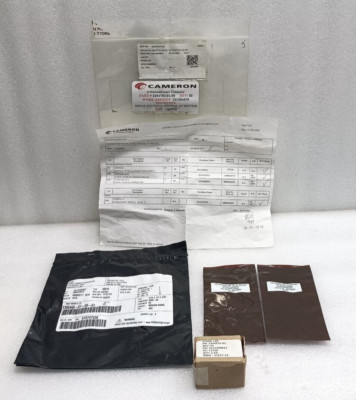 Cameron 2394793-01-99 1/4'' Shuttle Valve Repair Kit 2395468-01-09-03 NEW
