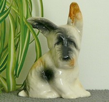 ANCIEN CHIEN TERRIER ÉCOSSAIS