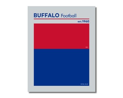 compare to BUFFALO BILLS Football Swatch Team Photo Picture 8x10 11x14 16x20