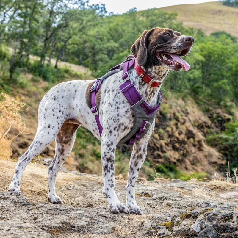 Dog Harness No Pull Reflective Padded Vest Hiking Running Control Handle New Dog Harness No Pull Reflective Padded Vest Hiking Running Control Handle New