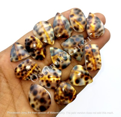 100 Carat Natural Leopard Skin Shell  Cabochon lot, 4-6 Pcs, Loose Gemstone