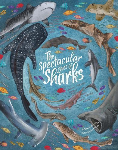 Annabel Griffin Spectacular Lives of Sharks (Hardback)
