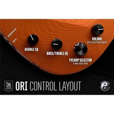 Mayones Ori Enji 5 Bass Guitar Gunmetal Gray Used Limited Edition