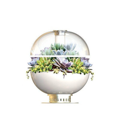 #ad #ad OPCOM MICRO DOME HYDROPONIC GARDEN for succulents moss leafy greens herbs $213.00