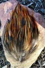 Furnace Rust Black Rooster Feather Pad Hat Headband Purse Sew or Glue on 