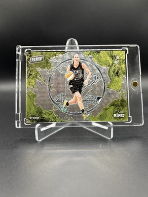 2025 Panini WNBA Player of the Day Sue Bird Splash Of Color #10/10 Storm