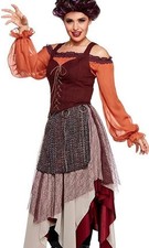 Disney  s Hocus Pocus Mary Sanderson Witch Women  s Costume Adult L Halloween