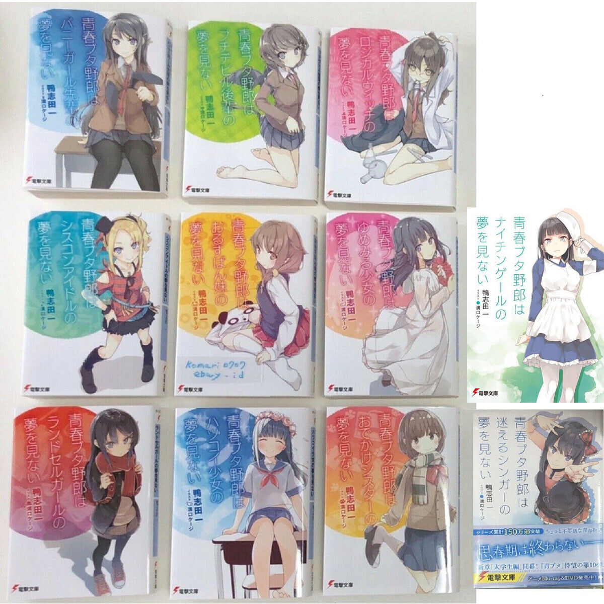 Seishun Buta Yarou wa My Student no Yume wo Minai – Japanese Book Store