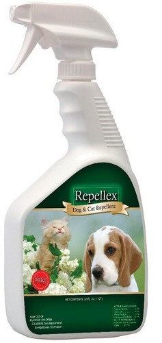 shelandy professional pet dryer