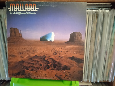 Mallard    In A Different Climate - LP UK - Virgin