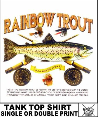 RAINBOW TROUT FISH ROD REEL HOOK LINE SINKER LURE