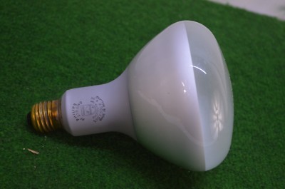 Ampoule Philips Photolita Ancienne - 220-255V, 500W, Pour Studio Photo Ou Projecteur