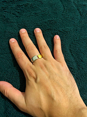 Bicolor Ring Gold/Platin 750/850 mit 1 Diamant G/SI rund, Gr.55 verstellbar