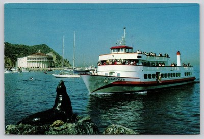 Countess Catalina Cruises Sea Lion Avalon California Postcard