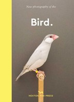 Hoxton Mini Press | Bird. | Buch | Englisch (2022) | Gebunden