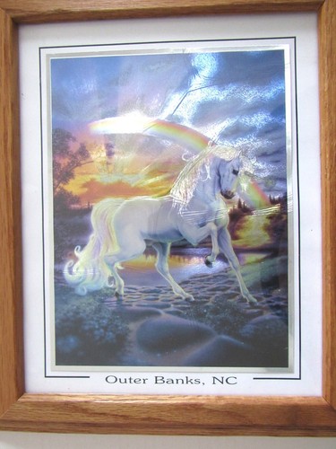 Einhorn & Regenbogen Folienkunst Outer Banks North Carolina Souvenir gerahmt 10 x 12 - Bild 5 von 6