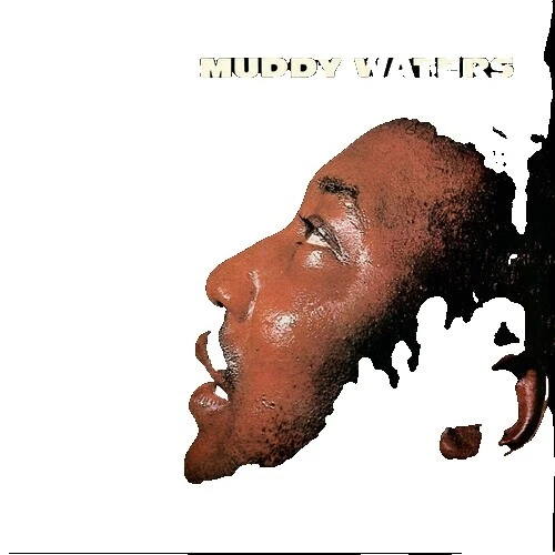 Vinyl Records Muddy Waters