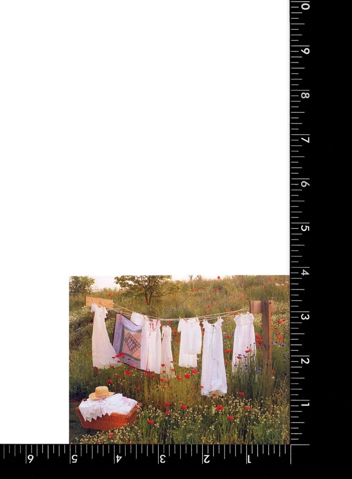 Set of 8 Laundry Line Spring Flower Field Blank Cards + Envelopes by Hallmark - Image 4 of 4