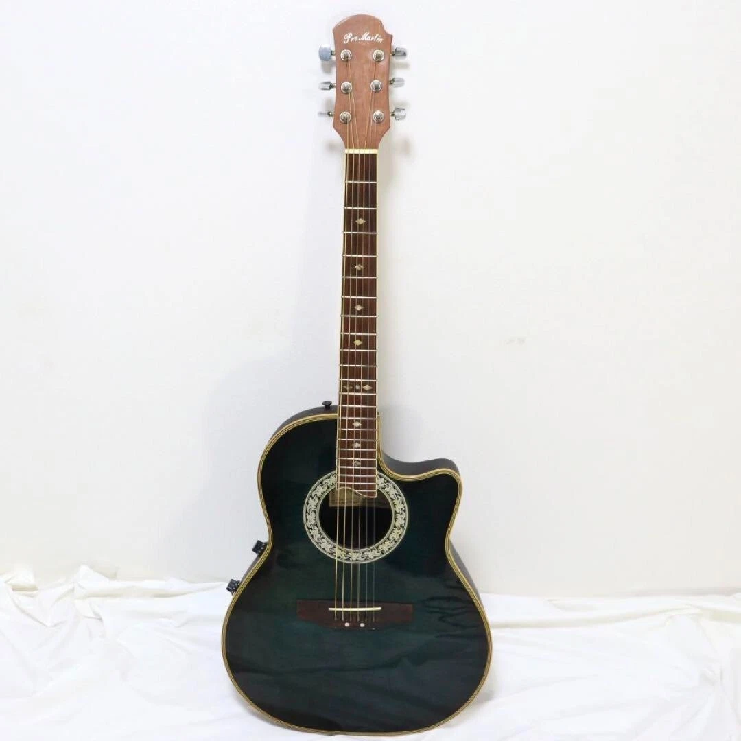 Pro martin guitar price deals
