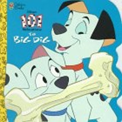 The Big Dig Paperback Justine Fontes