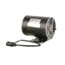 Mavrik Pump Motor, 115/230V