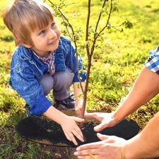 SYWHXY 8 Pack Non-Woven Tree Mulch Ring, 16.5 Inch Degradabl Tree Protector M...