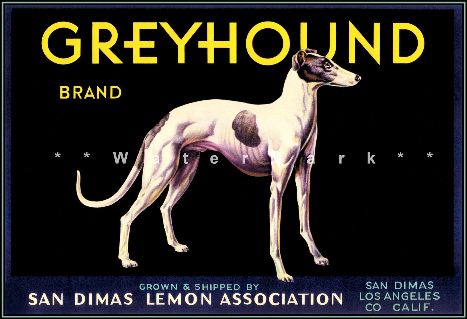 Greyhound Dog 1930s Retro Style Fruit Crate Lemon Label Vintage Poster Print Art