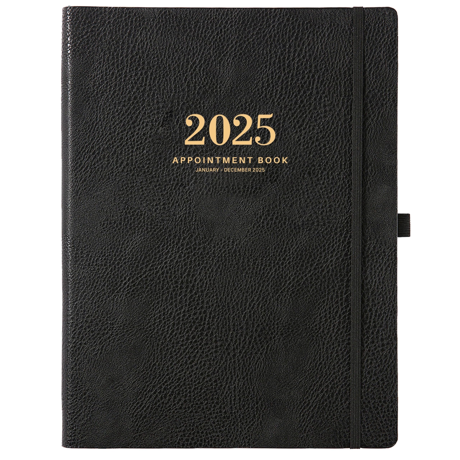 2025 Weekly Appointment Book & Planner - Daily Hourly Planner 2025 with 15-Mi...