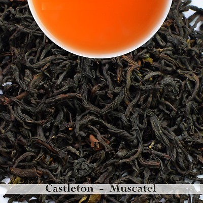 Darjeeling Tea Second Flush FTGFOP-1 Castleton Estate 2025 Black Loose Leaf Tea