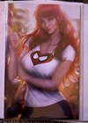 The Amazing Spider-Man #27 Ariel Diaz Mary Jane Virgin Variant MARVEL NM.