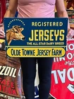 Vintage Anitque Old Style Metal Sign Jerseys Cows 14x20 Made in USA