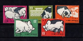 China Schweinesatz