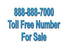 Toll Free Vanity Number 888-888-7000