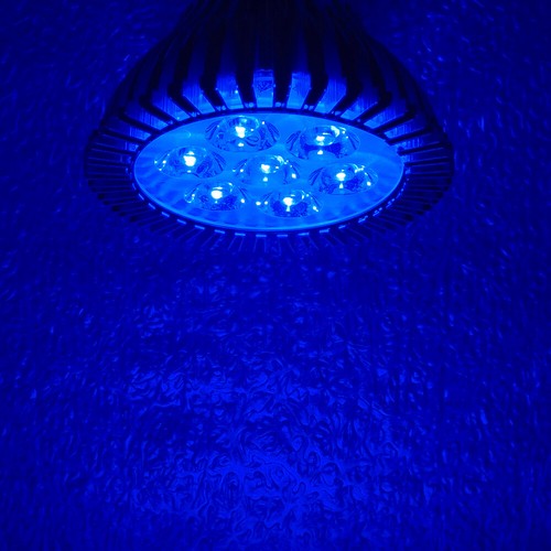 21W PAR30 Royal Blue 450nm~455nm LED Lamp Spot Light Bulb Plant Aquarium E26 E27 - Picture 7 of 7