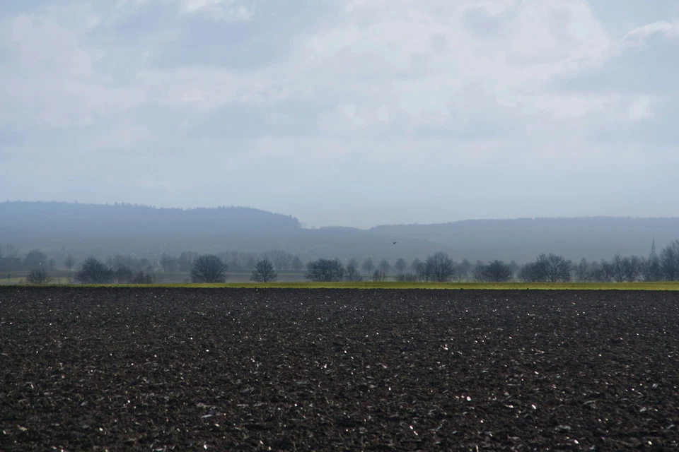 Muttererde gesiebt Pflanzenerde Gartenerde Mutterboden Erde 0-20mm Bördeboden - Bild 4 von 4