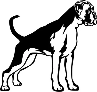 BOXER Aufkleber - Boxer Autoaufkleber - Boxer sticker - Boxer Kontur #91 - Bild 1 von 3