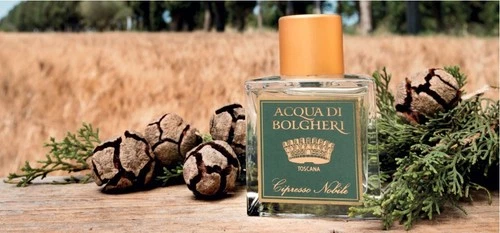 Acqua di Bolgheri Cipresso Nobile Eau de Parfum - Thumbnail 5