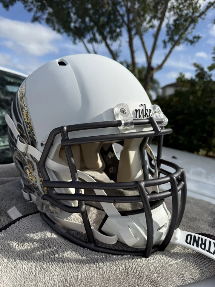 OREGON PATOS ZAPATO PATO PERSONALIZADO RIDDELL VELOCIDAD CASCO DE FÚTBOL AMERICANO RARO Foto 2 de 4