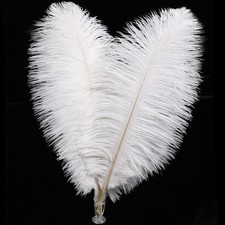 White Ostrich Feathers Bulk - 30pcs 8-10 inches for Wedding Party Centerpiece...