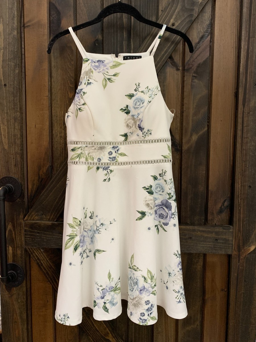 francesca's white dress with blue flowers white and blue maxi dress Francesca Blue Toile Maxi Dress  Confetti  Boutique-parroquiadesanalbertomagno.com