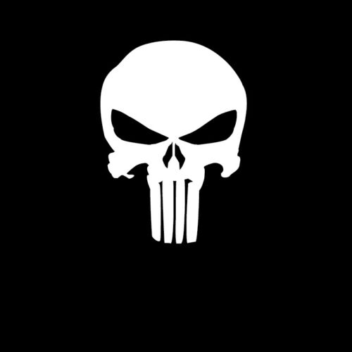 The Punisher Skull logo Vinyl Decal 7" tall x 5" wide Marvel Daredevil Netflix  - Afbeelding 1 van 2